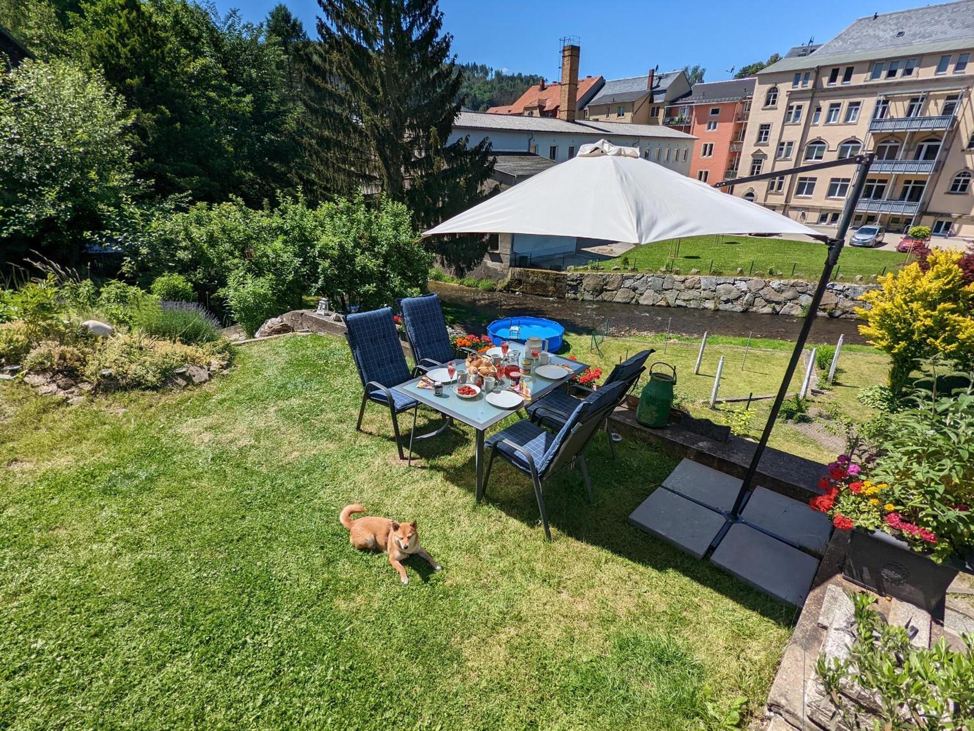 Hw2B - Urlaubsmagie - Wohlfuehlwohnung Mit Balkon, Pool, Sauna & Terrasse Sebnitz Extérieur photo